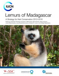 History of the Lemur Conservation Network – Lemur Conservation Network