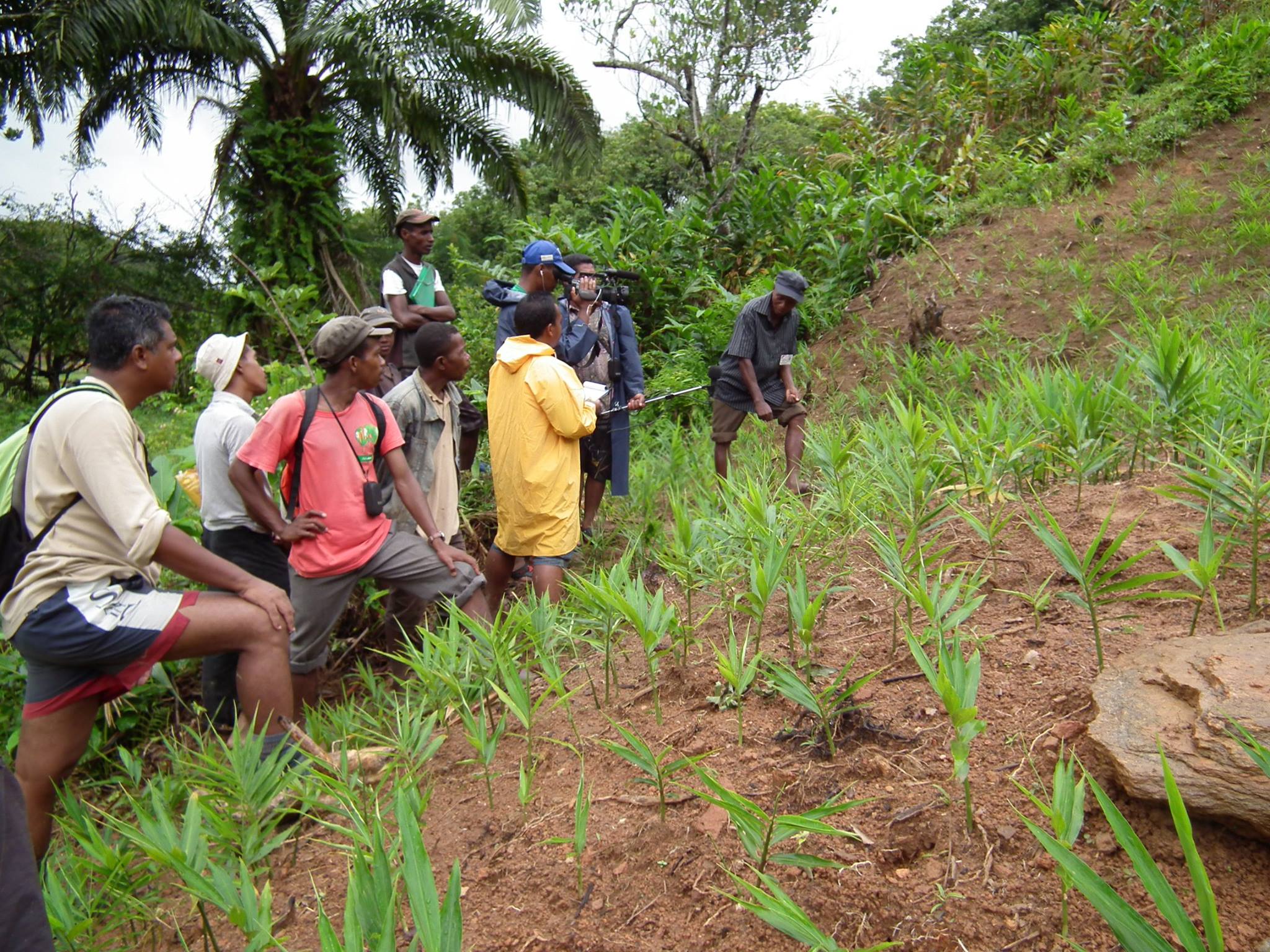 Conservation International – Lemur Conservation Network