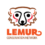 Home – Lemur Conservation Network