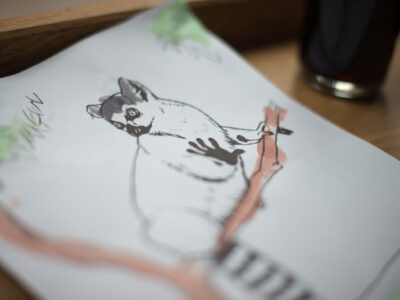 Art projects inspire kids to love lemurs
