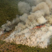 Overhead view of a slash-and-burn fire raging across Madagascar's forests