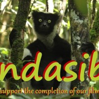 Help Support Completion Film
