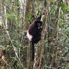On the Ground in Madagascar with MJ Ingmanson
