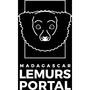 Madagascar Lemurs Portal