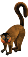 Illustration of Collared Brown Lemur