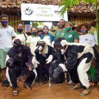 The 2020 World Lemur Festival celebrated by DREDD in Antsinanana, Madagascar