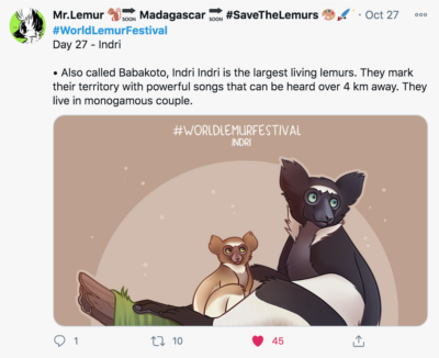 Artwork for the World Lemur Festival by Mr. Lemur