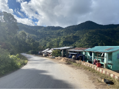 Road passing through Ranomafana