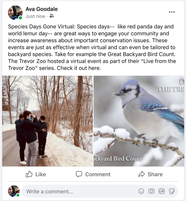 Inspiration for Wildlife Days – Lemur Conservation Network Inspiration for Wildlife Days – Lemur Conservation Network