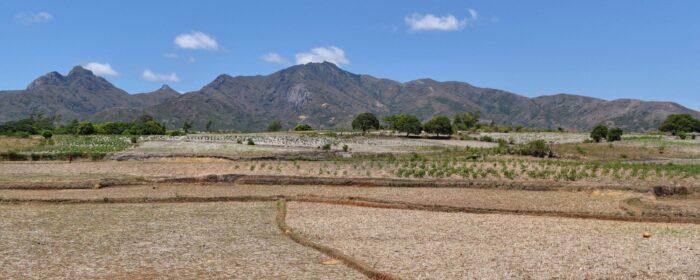 Drought dried out rice fields near Fort Dauphin Anosy region Feb 2021