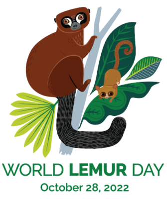 2022 World Lemur Day logo featuring a red bellied lemur and rufous mouse lemur
