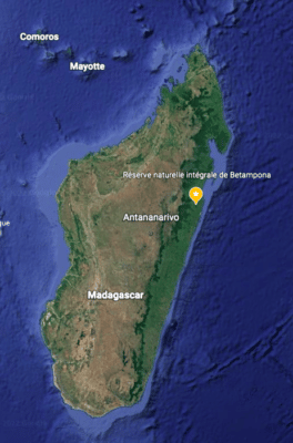 Map of Madagascar pinpointing the location of Betampona (above the capital city of Antananarivo