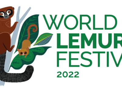 The 2022 logo features a red bellied lemur and rufous mouse lemur. The graphic was created by Katy Tanis of Daughter Earth.