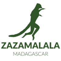 Zazamalala Foundation logo