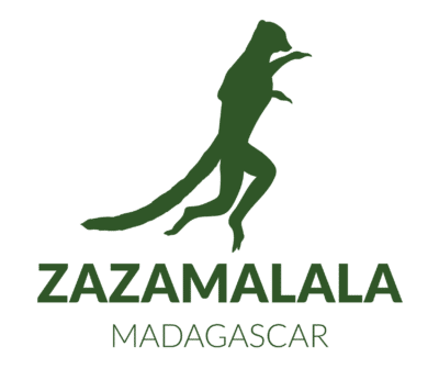 Zazamalala Foundation logo