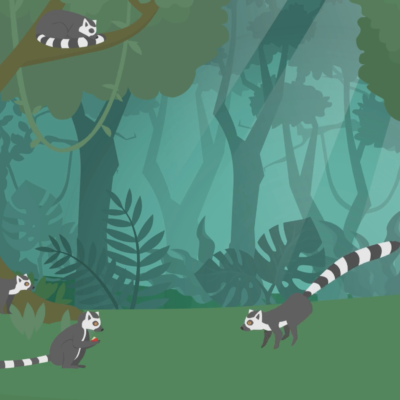 Lemurs-Seed-Dispersal-thumbnail