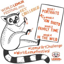 Join the 2023 World Lemur Festival Art Challenge!