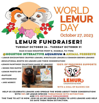 Fundraiser for the Lemur Conservation Network
