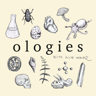 Olgies-Artwork