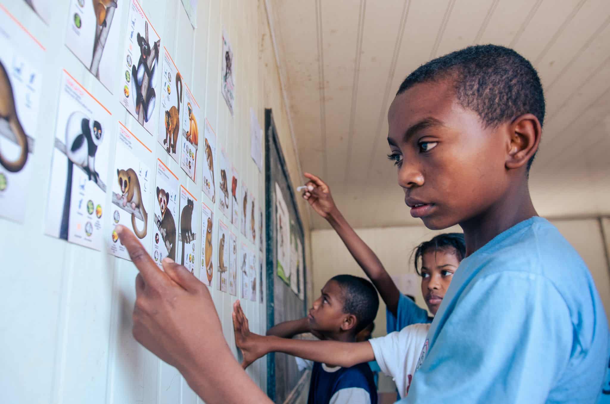 Student learning about lemurs