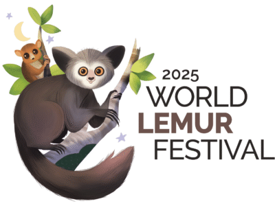 2025 World Lemur Festival graphic designed by Catmouse James.