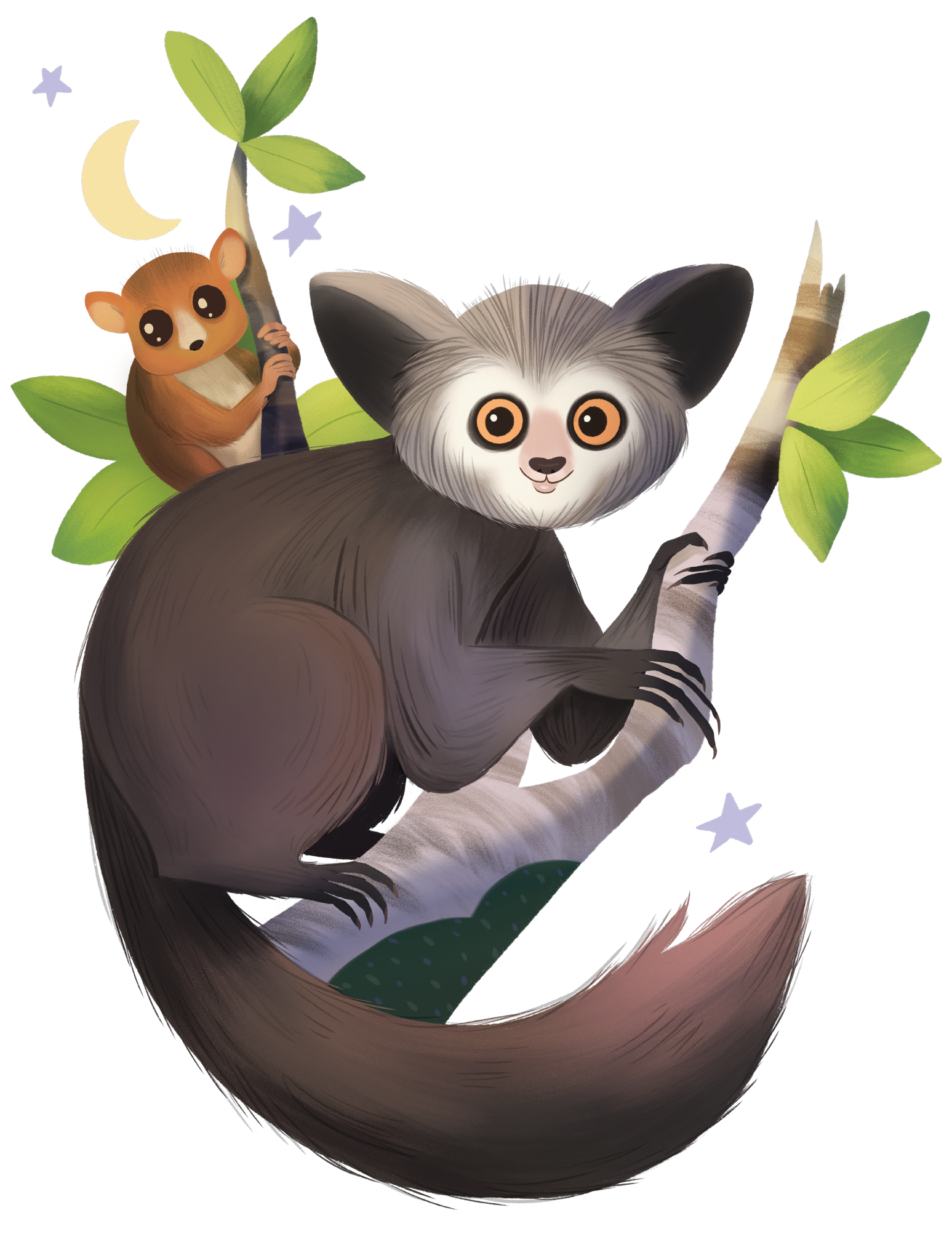 2025-WorldLemurFestival-Graphic-CatmouseJames-whiteBG@2x