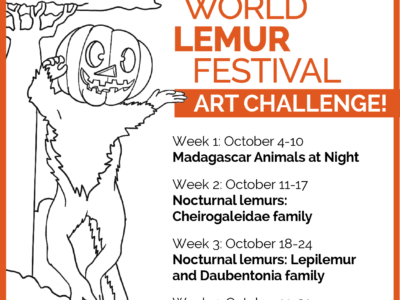 Share this graphic to let your friends know about the 2025 World Lemur Festival art challenge!
