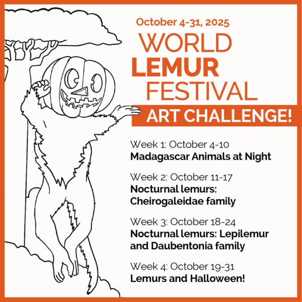 Share this graphic to let your friends know about the 2025 World Lemur Festival art challenge!