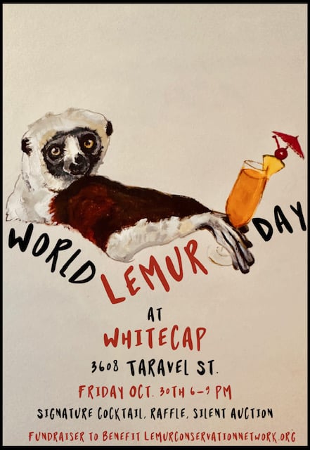 World Lemur Day in San Francisco